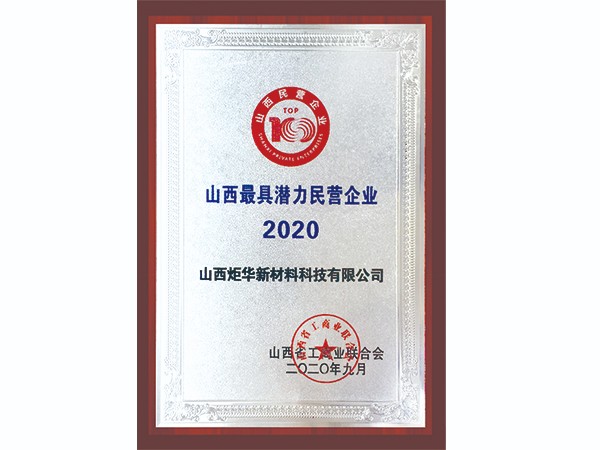 2020最具潜力民营企业